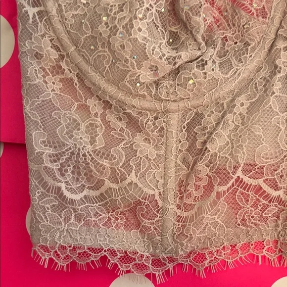 Victoria's Secret Lace Bustier Dream Angels Collection with Embellishments - Picture 5 of 11